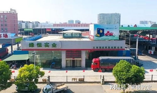 江西水果市場回暖,南昌深圳農(nóng)產(chǎn)品批發(fā)市場日銷10000余噸